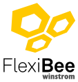 logo WinStrom